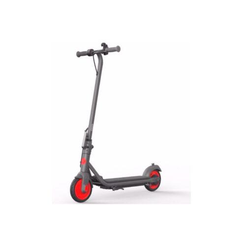 Segway Електросамокат Ninebot by Segway C20